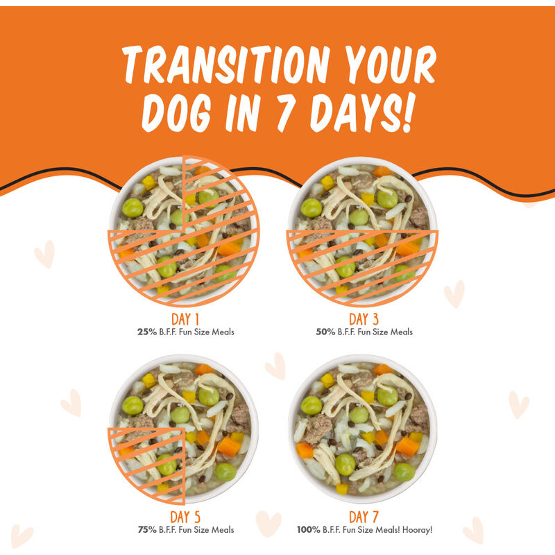 B.F.F. Best Fido Friend Fun Size Meals Wet Dog Food, You My Munchkin, Chicken Rice & Pumpkin, 2.75-oz image number null