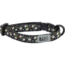 RC Pets Breakaway Cat Collar, Daisies