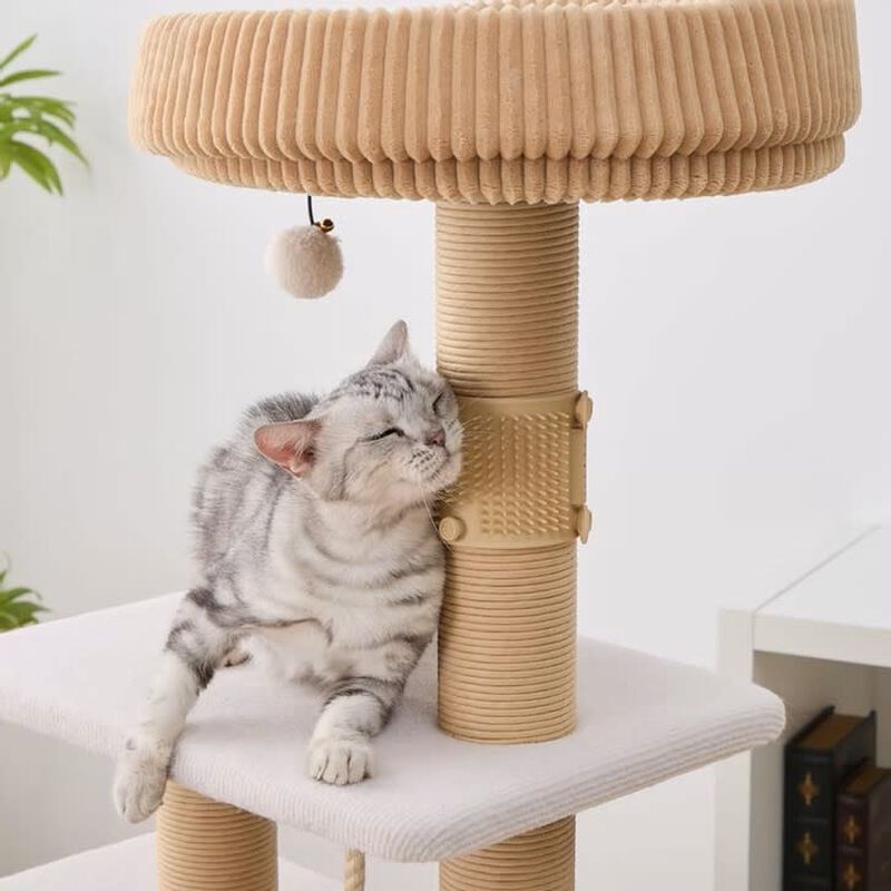 PetPals Anywhere Silicone Cat Massager image number null