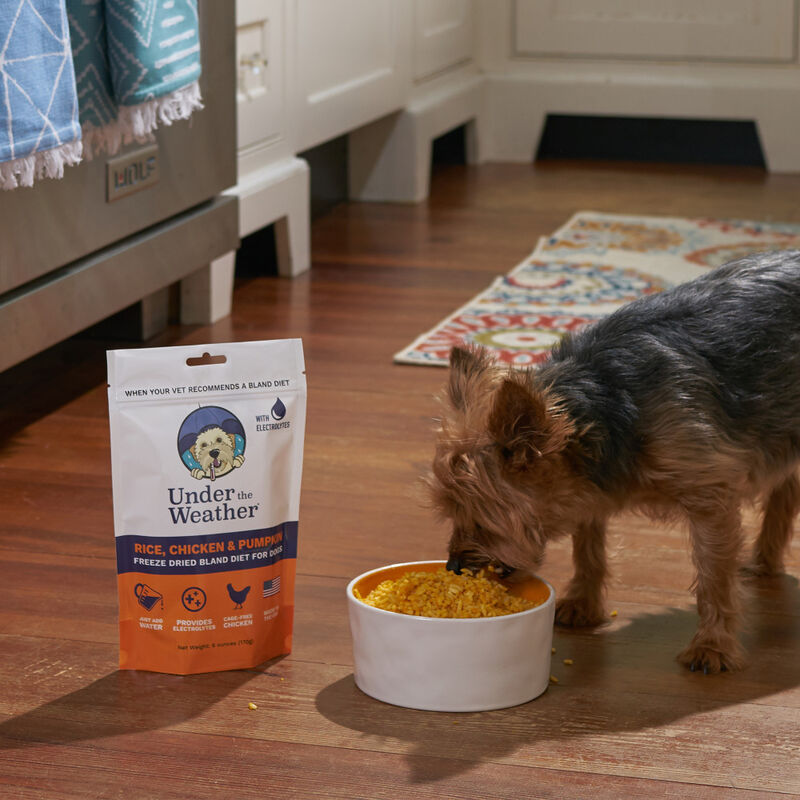 Under the Weather Bland Diet Freeze-Dried Supplemental Dog Food, Rice Chicken & Pumpkin, 6-oz image number null