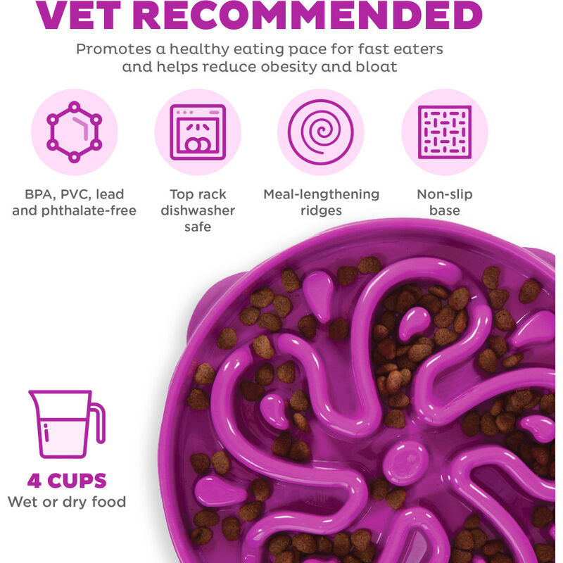 Outward Hound Fun Feeder Slo Bowl, Flower, Purple, Large image number null