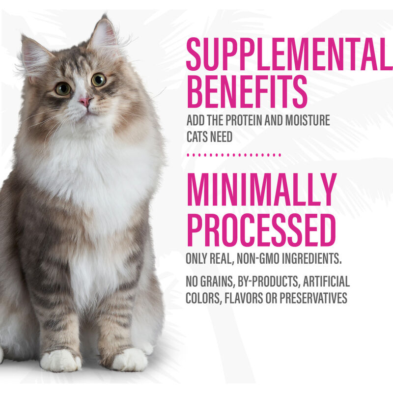 Tiki Cat Born Carnivore Complements Wet Cat Food Topper, Chicken & Duck, 2.1-oz image number null
