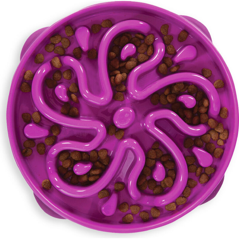 Outward Hound Fun Feeder Slo Bowl, Flower, Purple, Large image number null