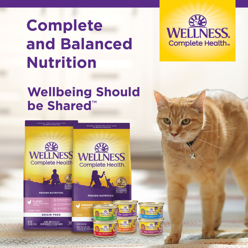 Wellness Complete Health Pate Canned Cat Food, Turkey & Salmon image number null