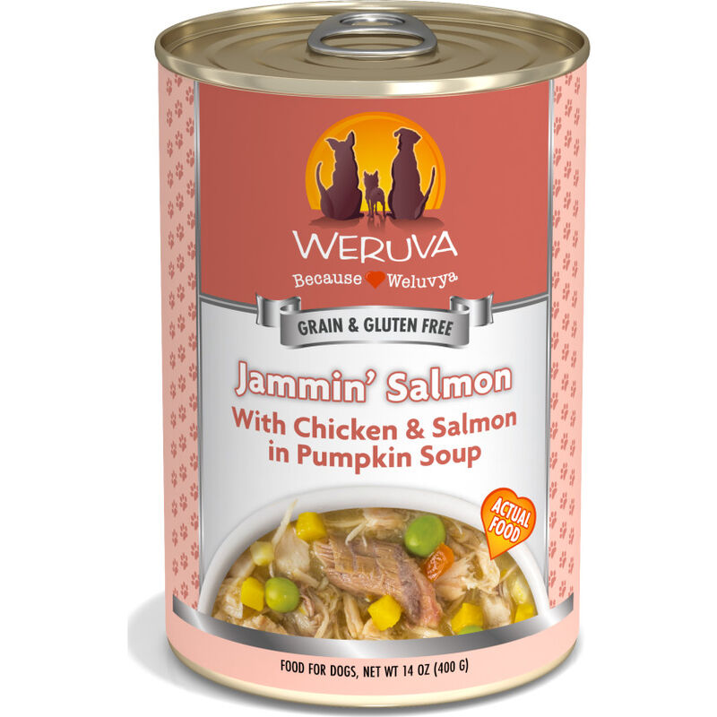 Weruva Classic Canned Dog Food, Jammin' Salmon, Chicken Salmon & Pumpkin Soup, 14-oz image number null